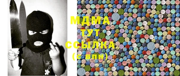 шишки Няндома
