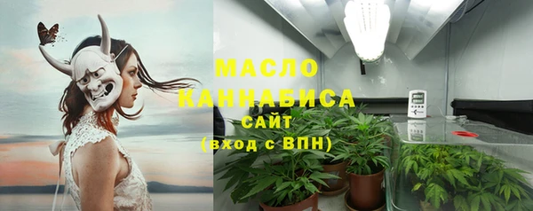 шишки Няндома
