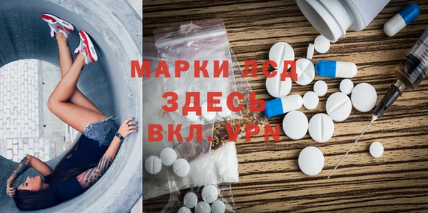 шишки Няндома