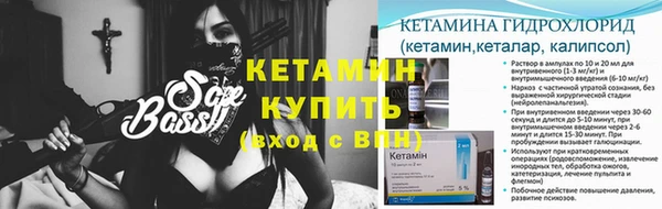 шишки Няндома