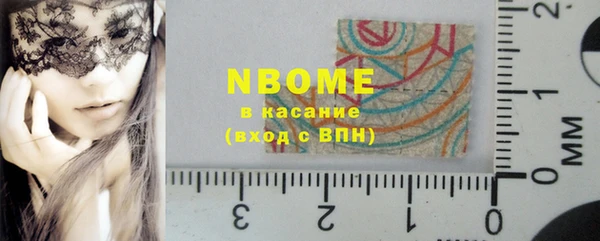 шишки Няндома
