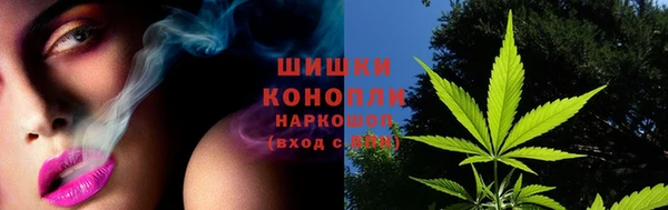 трава Осинники