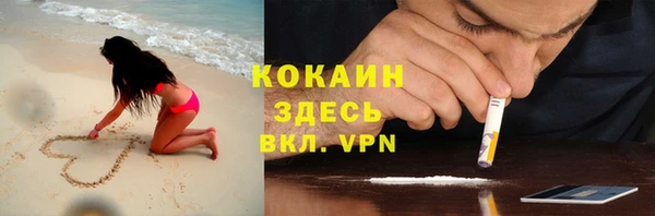 трава Осинники