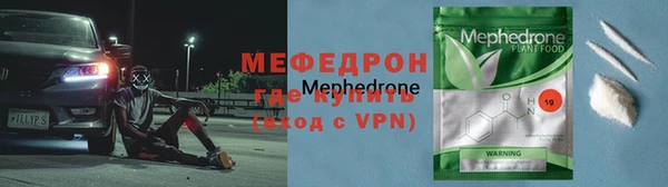 шишки Няндома
