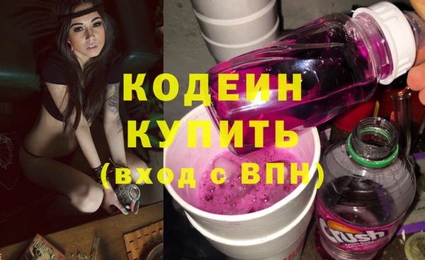 шишки Няндома