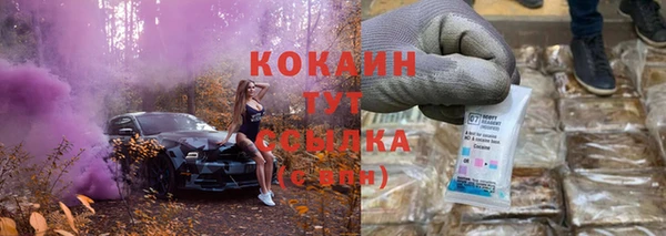 шишки Няндома