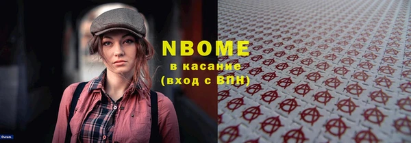шишки Няндома