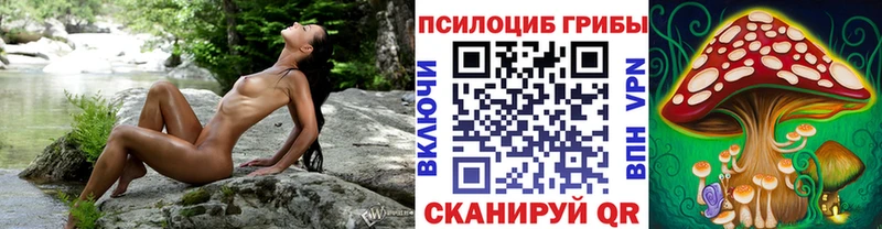 как найти закладки  Алушта  Псилоцибиновые грибы ЛСД 