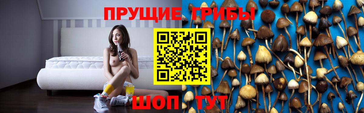 Псилоцибиновые грибы ЛСД  Псилоцибиновые грибы Cubensis  Вход с VPN  Алушта 
